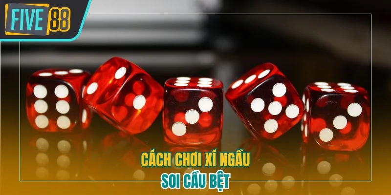 Cách chơi xí ngầu soi cầu bệt