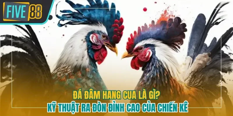 Đá đâm hang cua là gì five88
