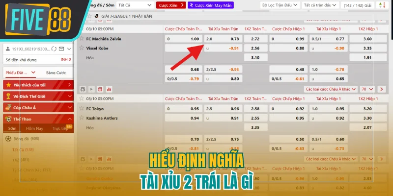 Hiểu định nghĩa tài xỉu 2 trái là gì