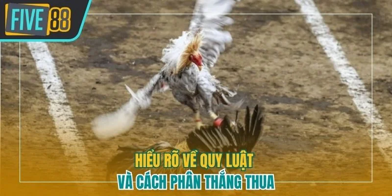 Hiểu rõ về quy luật và cách phân thắng thua