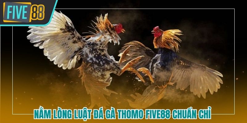 đá gà Thomo